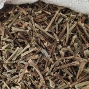 Cissus Quadrangularis