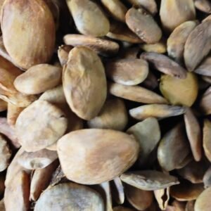 Wildcrafted Picralima nitida (Akuamma) Seeds-Powdered